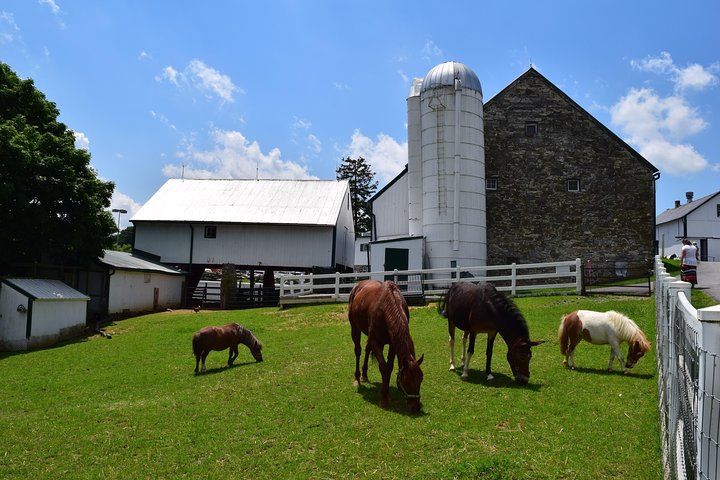 Premium Amish Country Tour inkludert Amish Farm og House