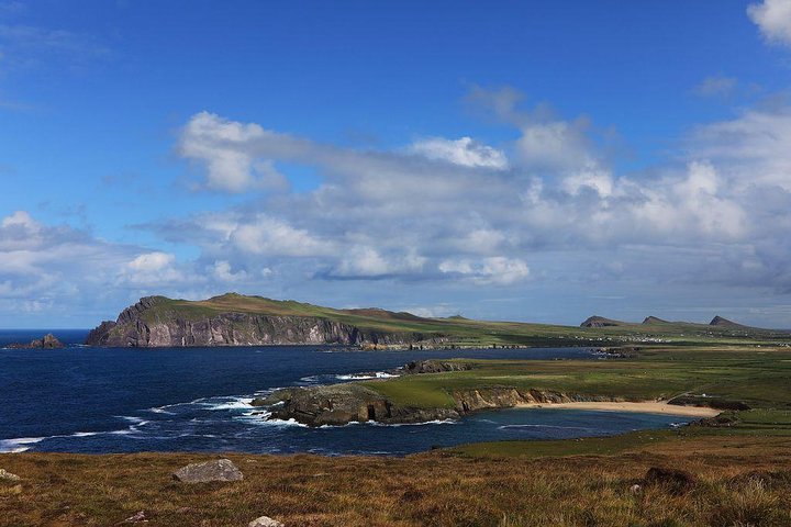 Dingle Peninsula Day Tour från Cork: inklusive The Wild Altanic Way