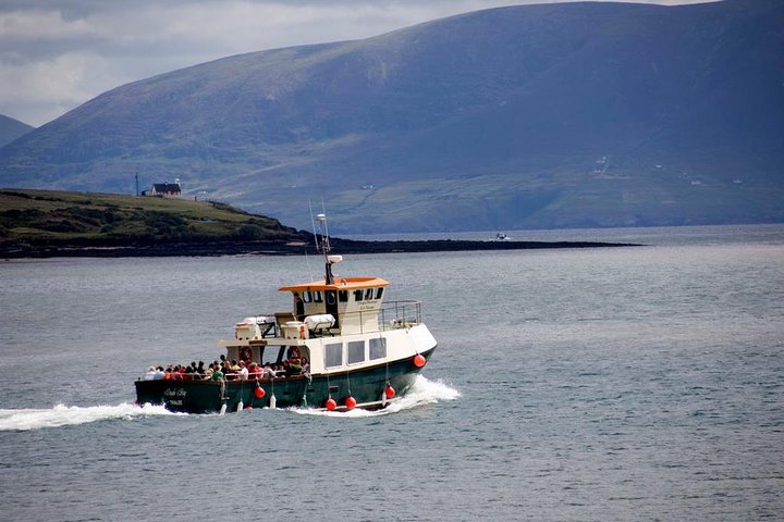 Dingle Peninsula Day Tour från Cork: inklusive The Wild Altanic Way