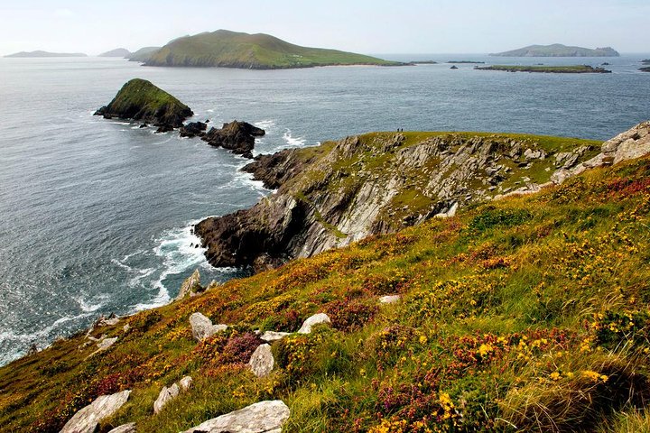 Dingle Peninsula Day Tour från Cork: inklusive The Wild Altanic Way