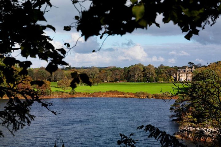 Ring of Kerry Day Tour fra Limerick: Inklusive Killarney National Park