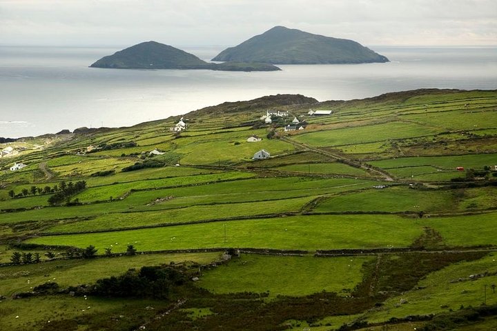 Ring of Kerry Day Tour fra Limerick: Inklusive Killarney National Park