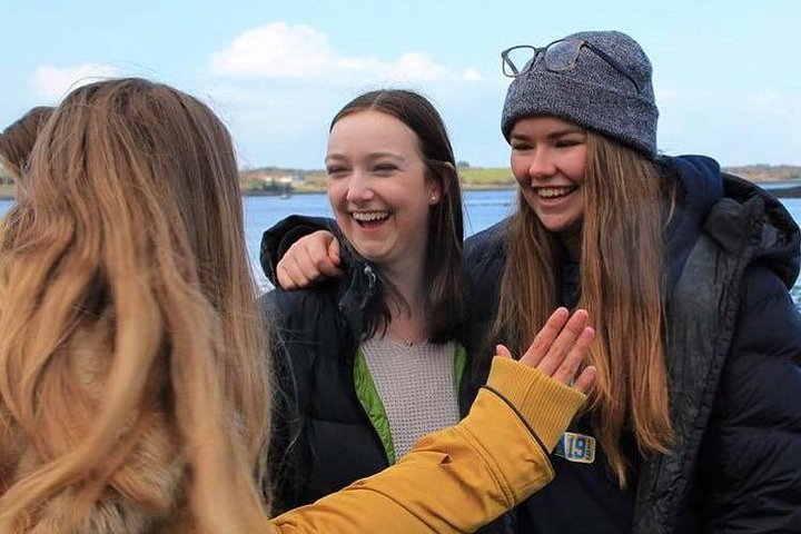 Ring of Kerry Day Tour fra Limerick: Inklusive Killarney National Park