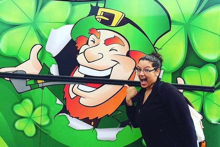 Dublin till Rock of Cashel Cork City och Blarney Castle