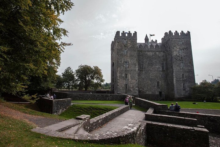 Tour di un giorno delle scogliere di Moher da Limerick: Wild Atlantic Way