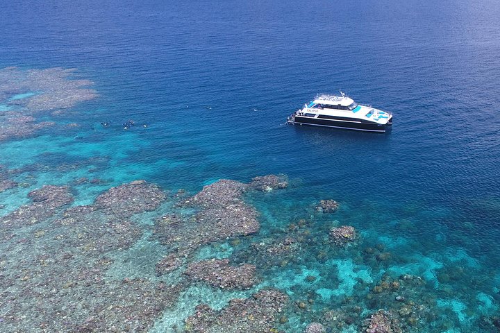 Crucero exterior de la Gran Barrera de Coral Calypso desde Port Douglas