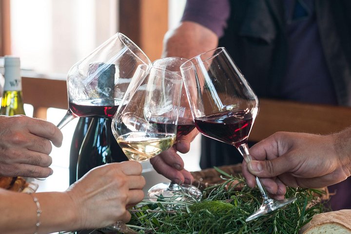 Privérondleiding van 6 uur langs drie Etna-wijnhuizen met eten en wijnproeverij