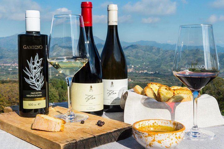 Privat omvisning i Etna og vingårdsbesøk med mat- og vinsmaking fra Taormina