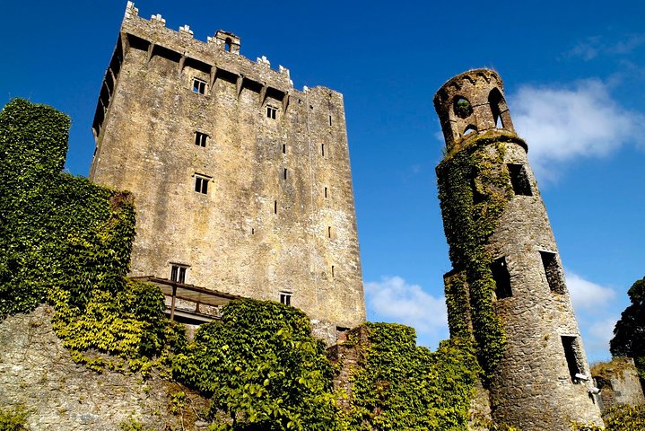 (Grupo Pequeno): Shore Tour de Cork: Castelo de Blarney e Destilaria Jameson