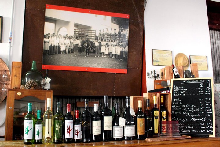 Besök Bodegas Teneguía vingård i La Palma med vinprovning