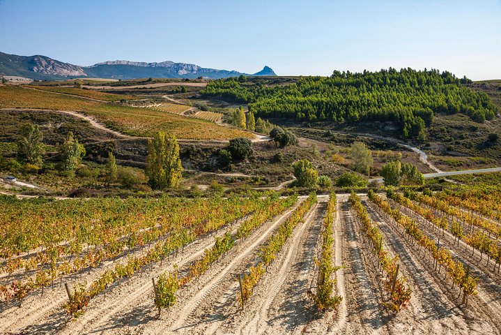 La Rioja Weine und Laguardia Tour ab San Sebastian