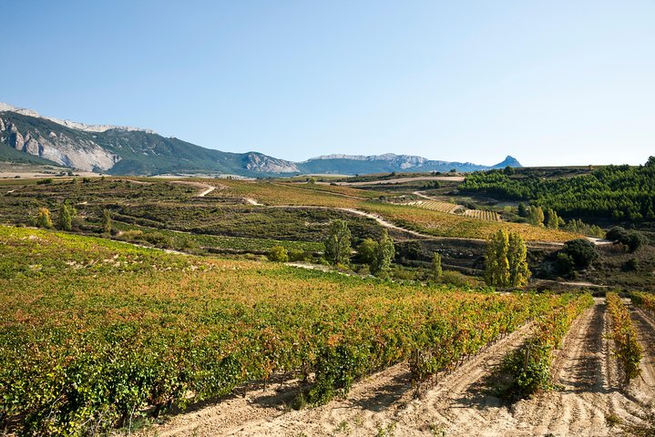 La Rioja Weine und Laguardia Tour ab San Sebastian