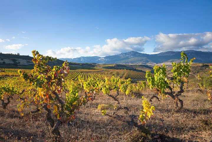 La Rioja Weine und Laguardia Tour ab San Sebastian