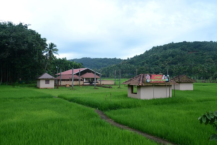 Experiencia de Village Life en los distritos de Kannur y Kasaragod en Kerala