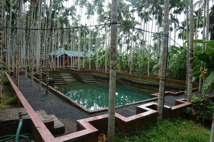 Experiencia de Village Life en los distritos de Kannur y Kasaragod en Kerala