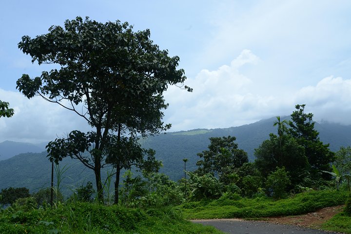 Experiencia de Village Life en los distritos de Kannur y Kasaragod en Kerala