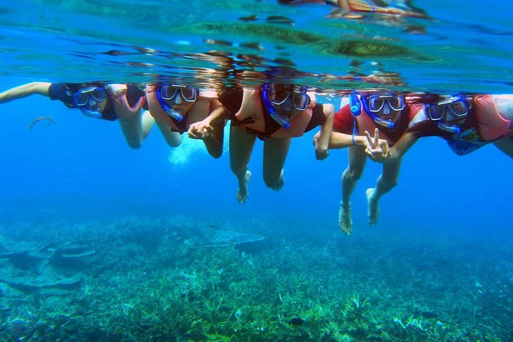 Excursion d'une journée de plongée en apnée sur l'île Perhentian depuis la jetée de Kuala Besut