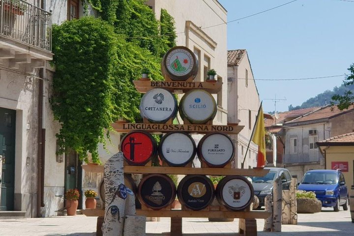Desde Siracusa : Tour Privado Monte Etna con Almuerzo en Bodega Etna