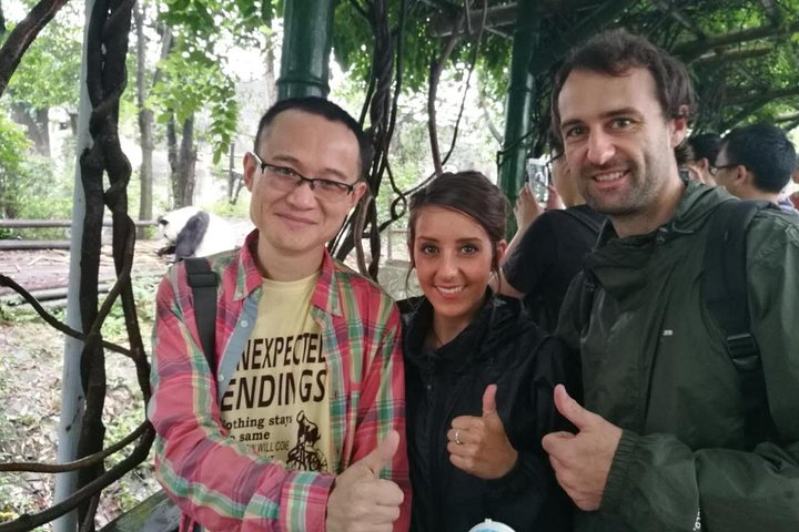 Visite privée d'une demi-journée du centre d'élevage de pandas de Chengdu avec bénévolat en option