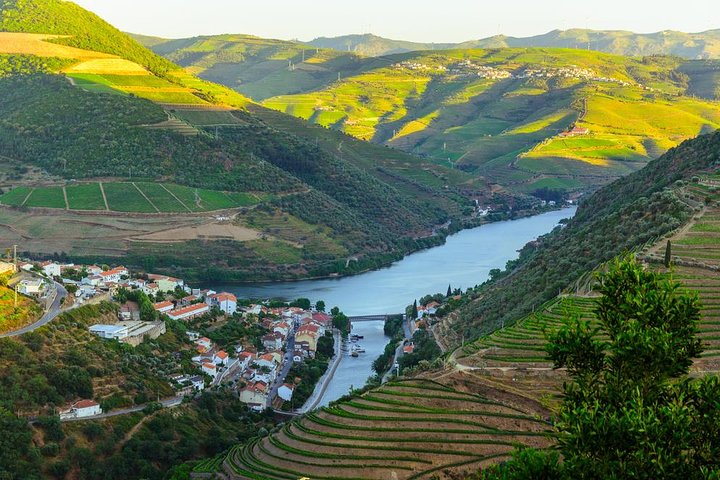 Douro Valley Tour : wijnproeverij, cruise en lunch vanuit Porto