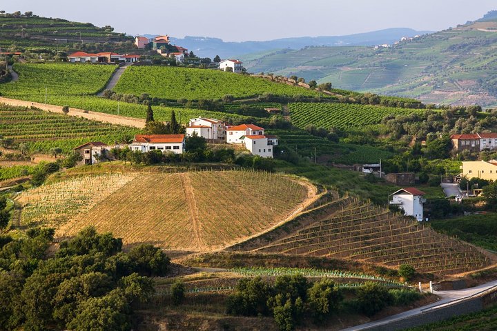 Douro Valley Tour : wijnproeverij, cruise en lunch vanuit Porto