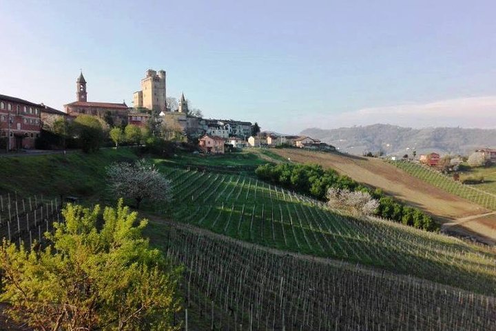 Piedmont Winery Tour: Goûter Barolo, Barbaresco et nourriture traditionnelle