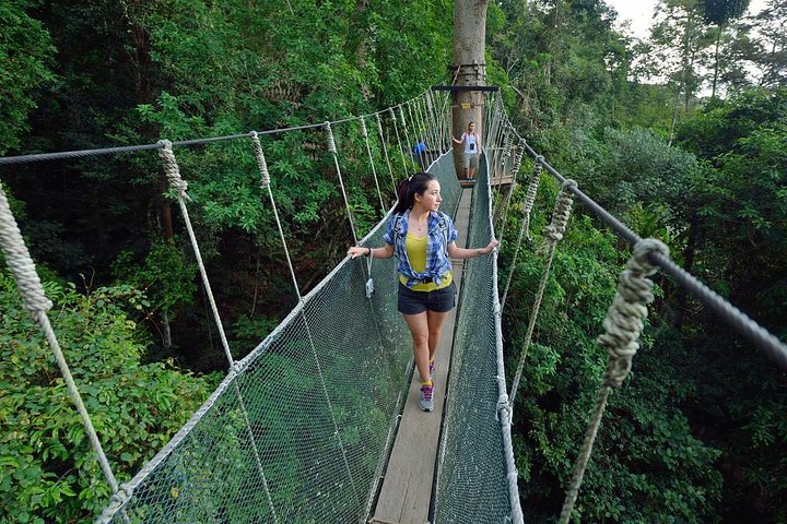 Tour del parco Kinabalu, del caseificio Desa e delle sorgenti termali di Poring
