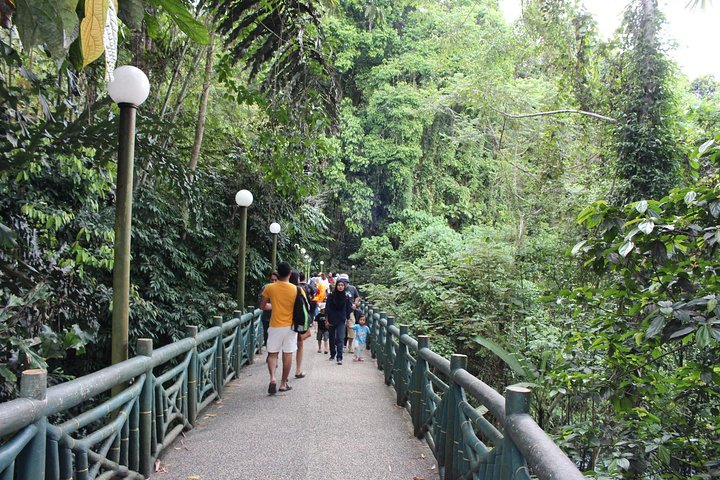 Tour del parco Kinabalu, del caseificio Desa e delle sorgenti termali di Poring