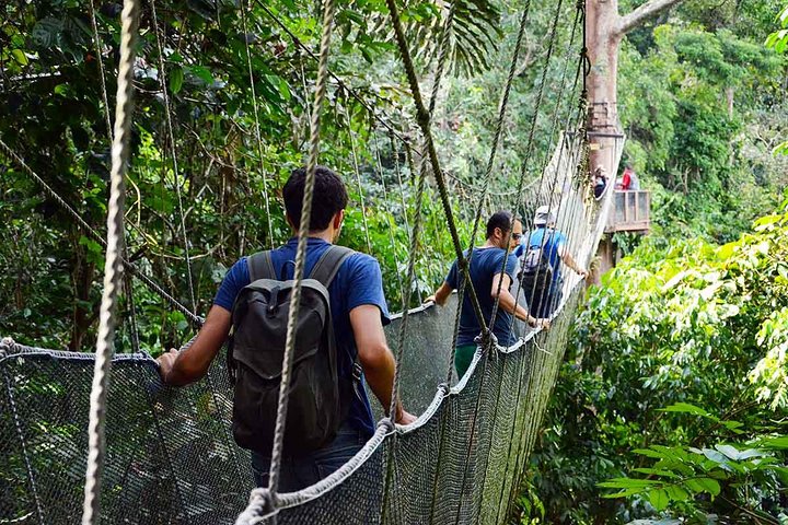 Tour del parco Kinabalu, del caseificio Desa e delle sorgenti termali di Poring