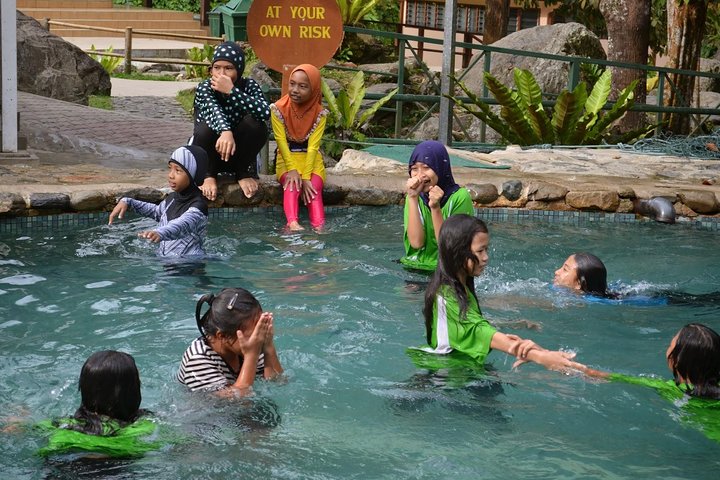 Tour del parco Kinabalu, del caseificio Desa e delle sorgenti termali di Poring