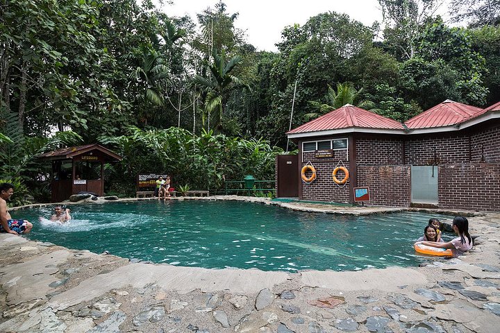 Tour del parco Kinabalu, del caseificio Desa e delle sorgenti termali di Poring