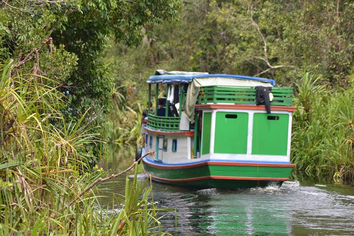 Dayak Lamandau en orang-oetan Tanjung Puting Park Tour 6 dagen
