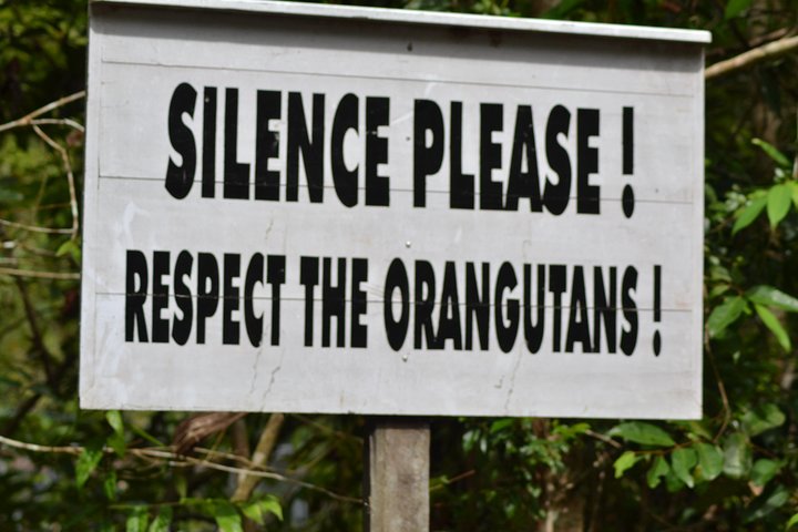 Dayak Lamandau en orang-oetan Tanjung Puting Park Tour 6 dagen