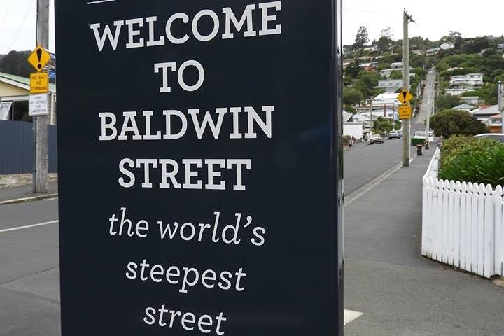 Dunedin City Highlights, Otago Peninsula Scenery & Albatross Guidet tur