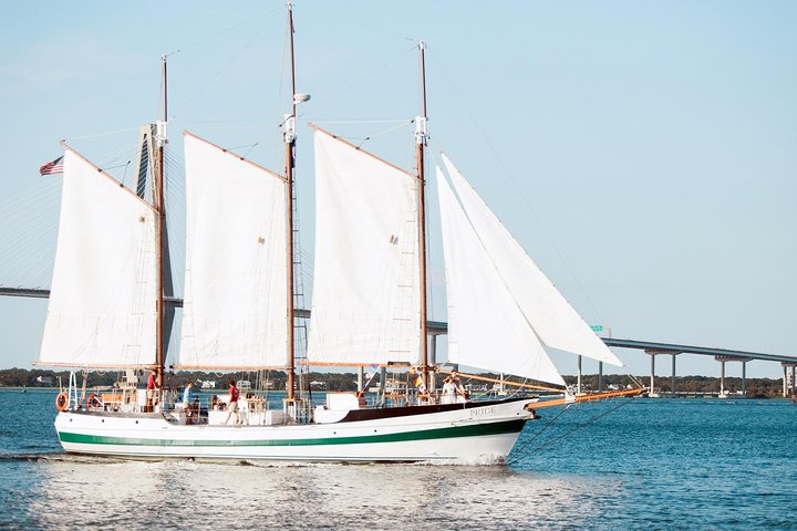 Crociera pomeridiana con i delfini in goletta nel porto di Charleston