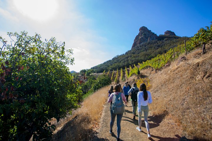 Malibu: escursione guidata ai vigneti con soste fotografiche e vino