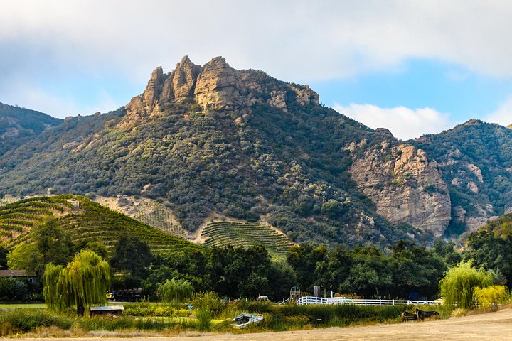 Malibu: escursione guidata ai vigneti con soste fotografiche e vino