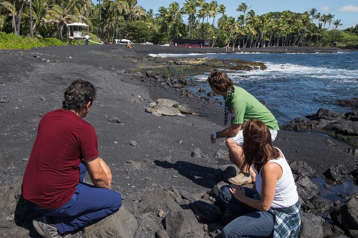 Big Island in a Day: Volcanoes Waterfalls Turismo e História