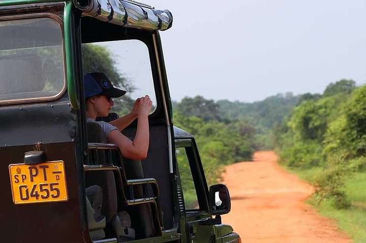Ella: Transport til Tangalle/Mirissa/Galle og Yala/Udawalawe Safari