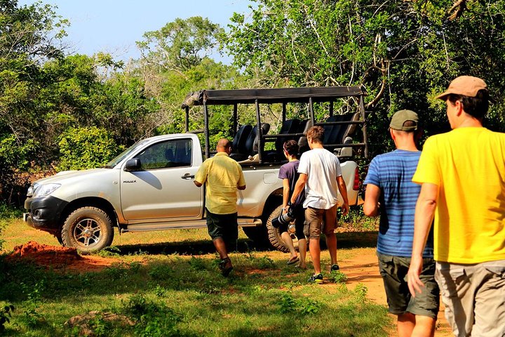 Ella: Transport til Tangalle/Mirissa/Galle og Yala/Udawalawe Safari