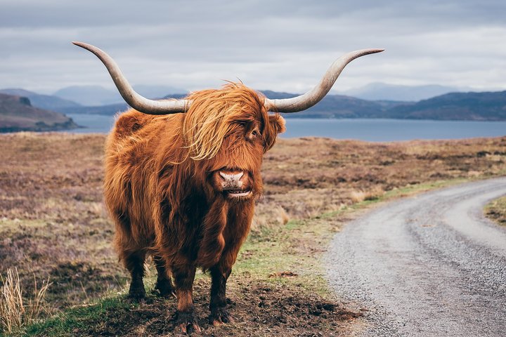 Glasgow: Isle of Skye, de Hooglanden en Loch Ness - 3-daagse tour