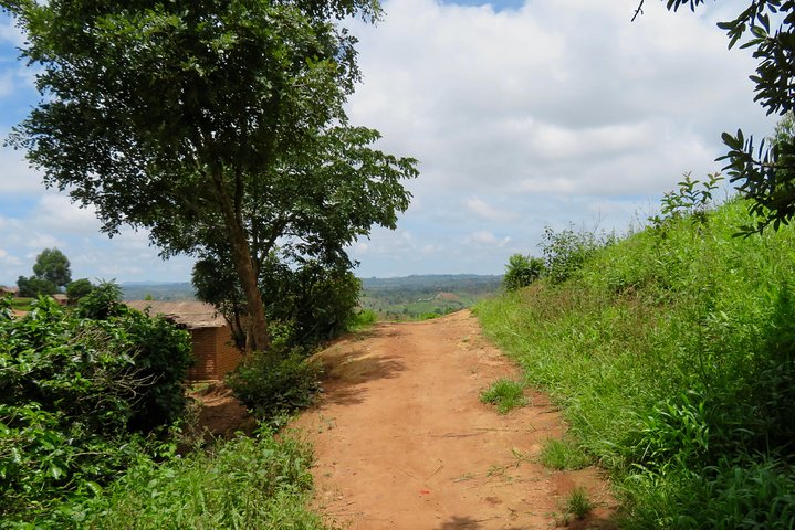 Visita a la granja de café visita en Mzuzu, Malawi