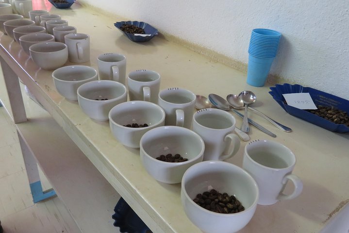 Visita a la granja de café visita en Mzuzu, Malawi