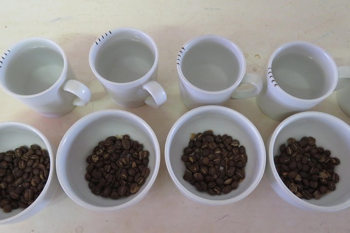 Visita a la granja de café visita en Mzuzu, Malawi