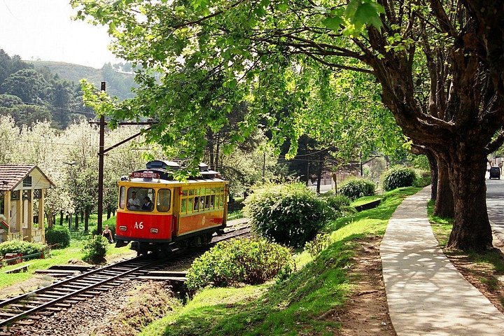 Het Braziliaans Zwitserland - Dagtocht op Campos do Jordão vanuit São Paulo