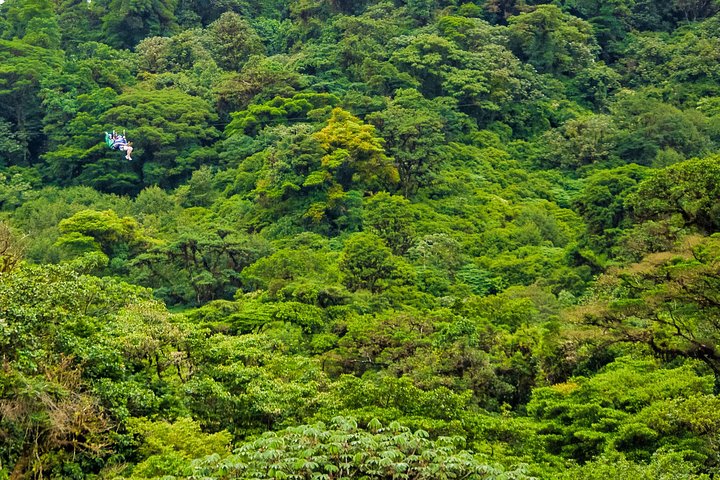 Tour mit Seilrutsche durch den Regenwald und über Hängebrücken ab Monteverde