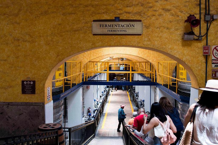 José Cuervo Tequila Tour & Agave Champs au départ de Guadalajara