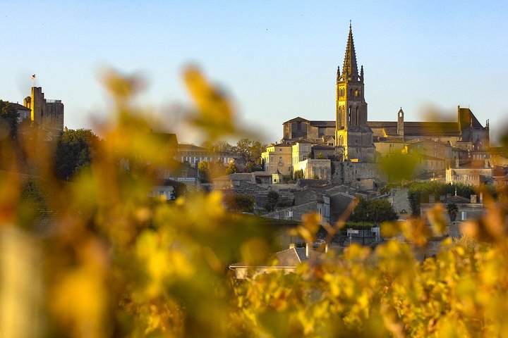 Saint Emilion Excursão de meio dia com degustação de vinhos e visita à vinícola a partir de Bordeaux