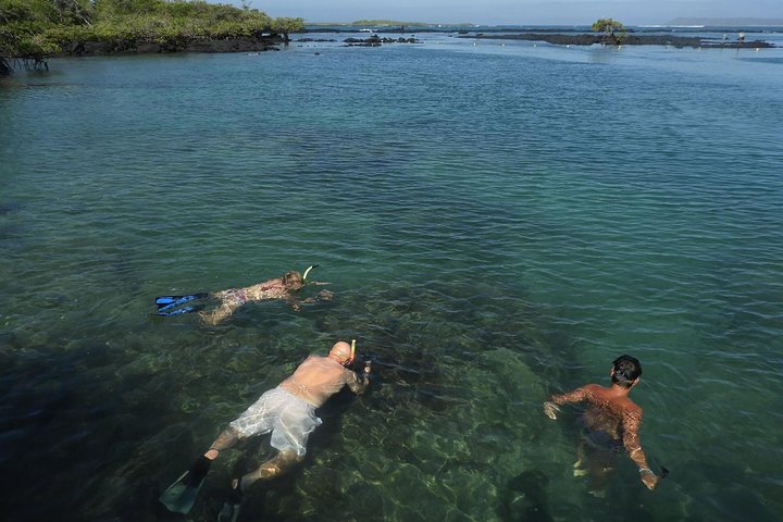 Los Tuneles Day Tour Snorkeling and Swimming with Wildlife