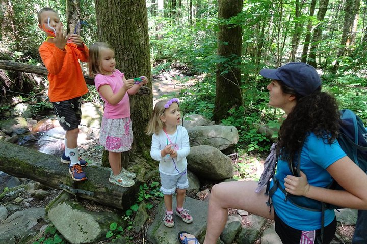 Die Natur mit Kindern teilen : Rauchberg-Entdeckung zum Mitmachen